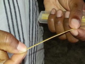 grass for cutting the umbilical cord